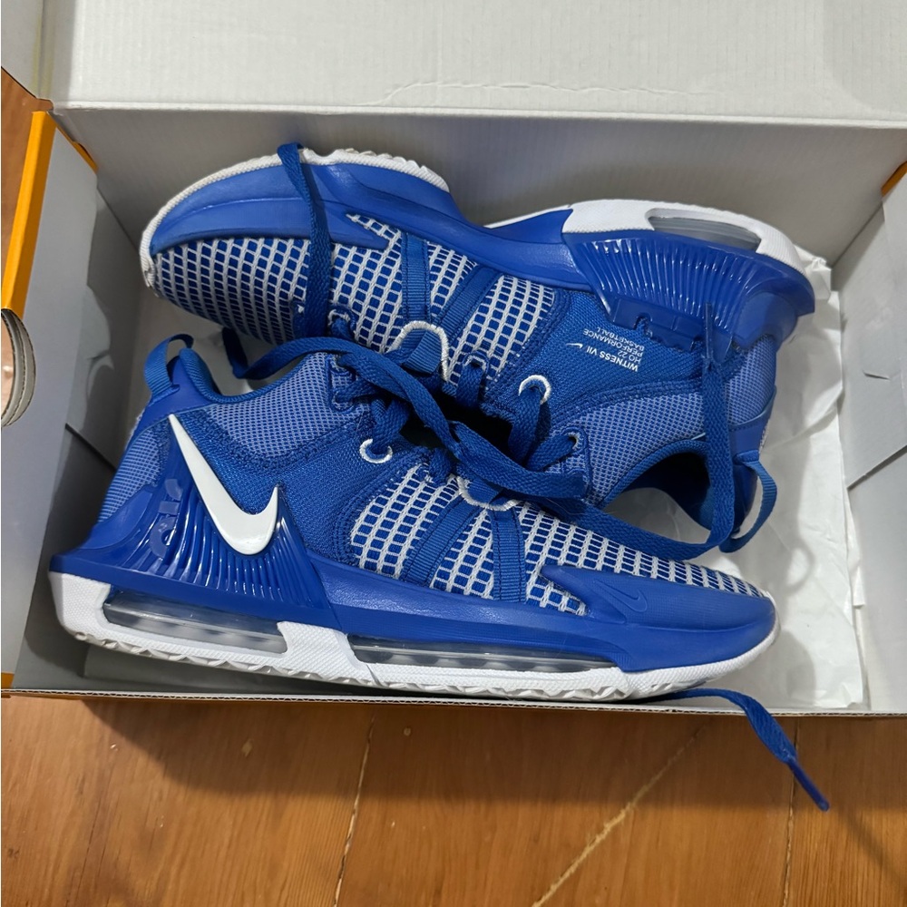 blue lebron witnesses